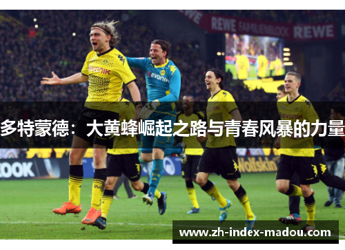 多特蒙德：大黄蜂崛起之路与青春风暴的力量