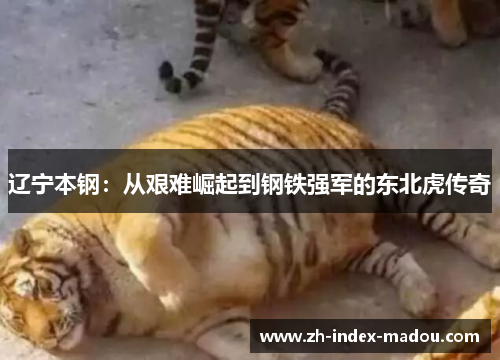 辽宁本钢:从艰难崛起到钢铁强军的东北虎传奇 辽宁本钢:从艰难崛起到钢铁强军的东北虎传奇