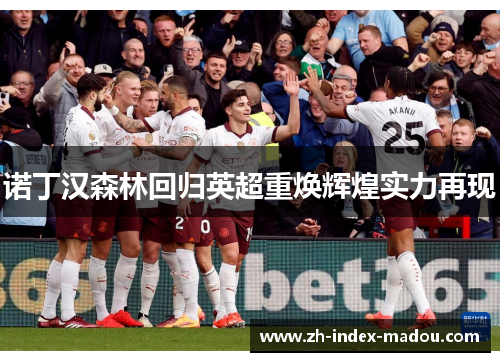 诺丁汉森林回归英超重焕辉煌实力再现 诺丁汉森林回归英超重焕辉煌实力再现